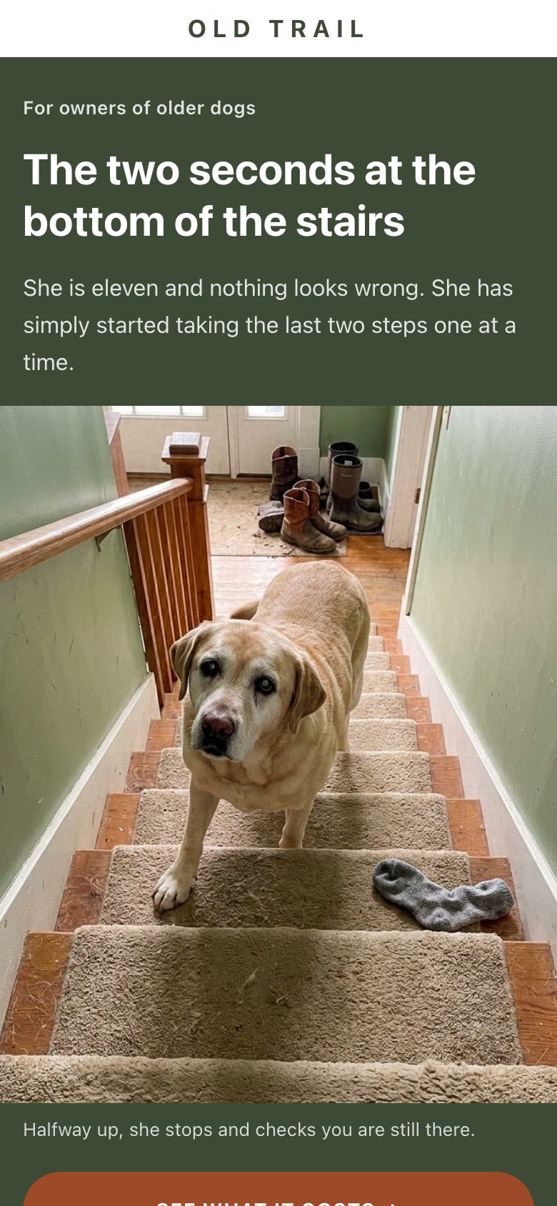 Pets. Tells the story first.